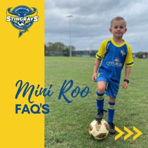 Mini Roo FAQ